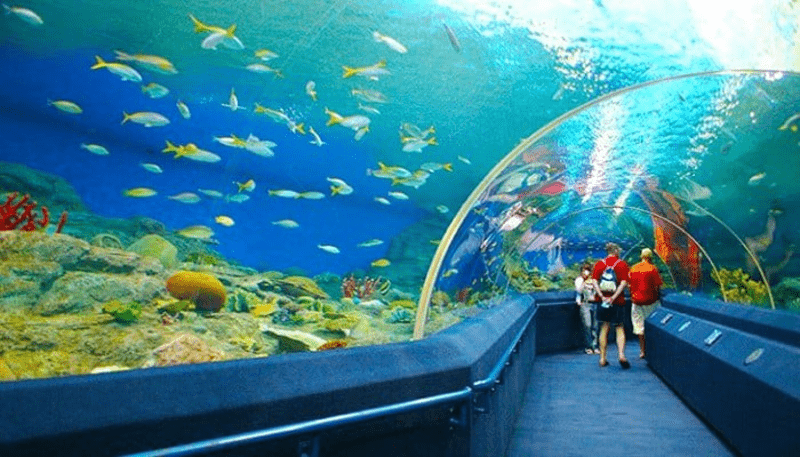 chi phí du lịch Nha Trang