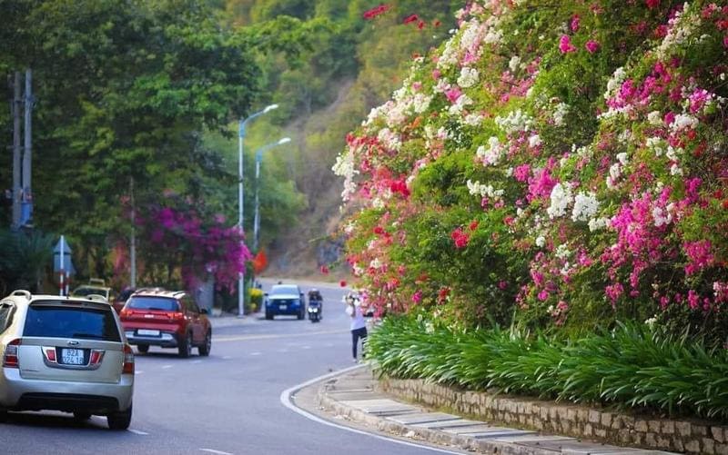 Lương Sơn Nha Trang