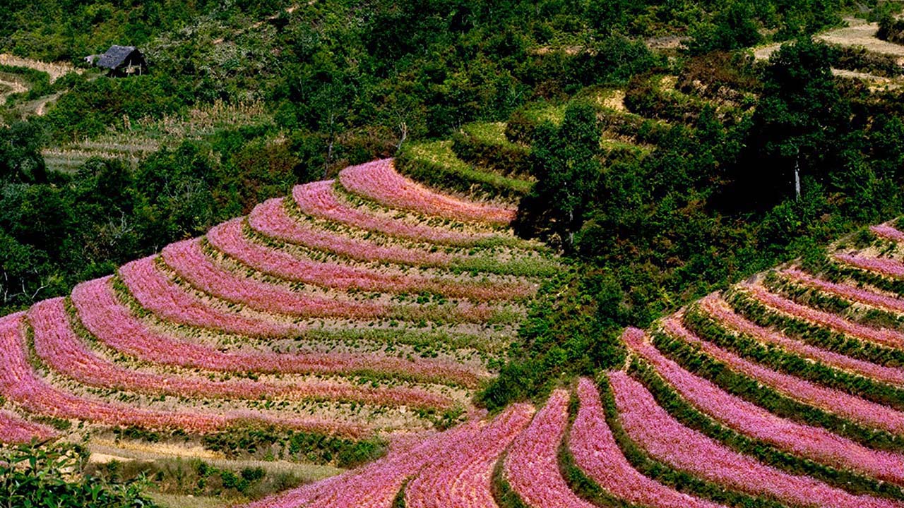 tháng 12 nên đi du lịch ở đâu