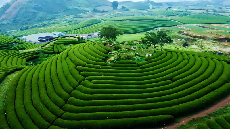 tháng 12 nên đi du lịch đâu