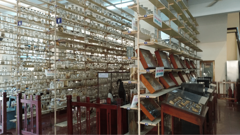 Viện Hải dương học Nha Trang