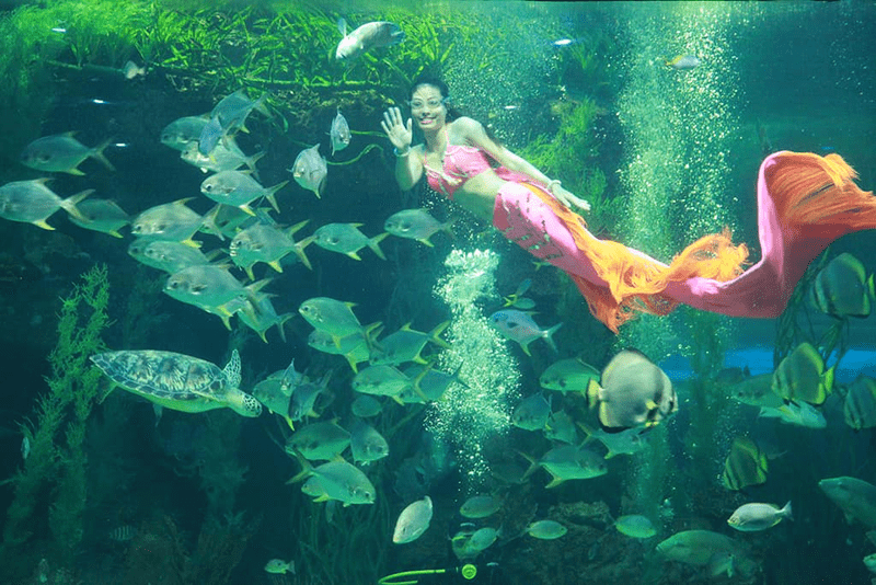 VinWonders Nha Trang 