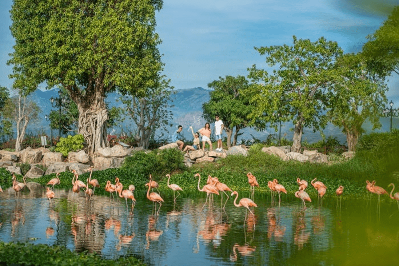 vinwonders nha trang