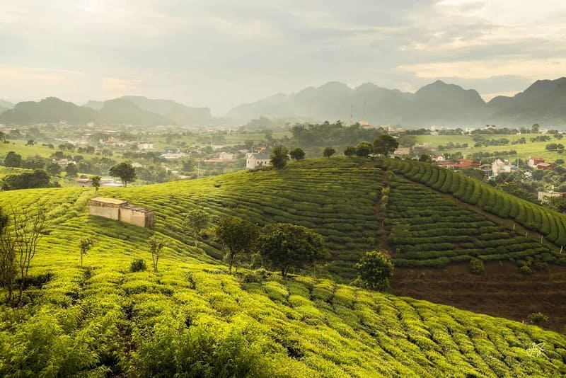 tháng 11 nên đi du lịch ở đâu miền nam