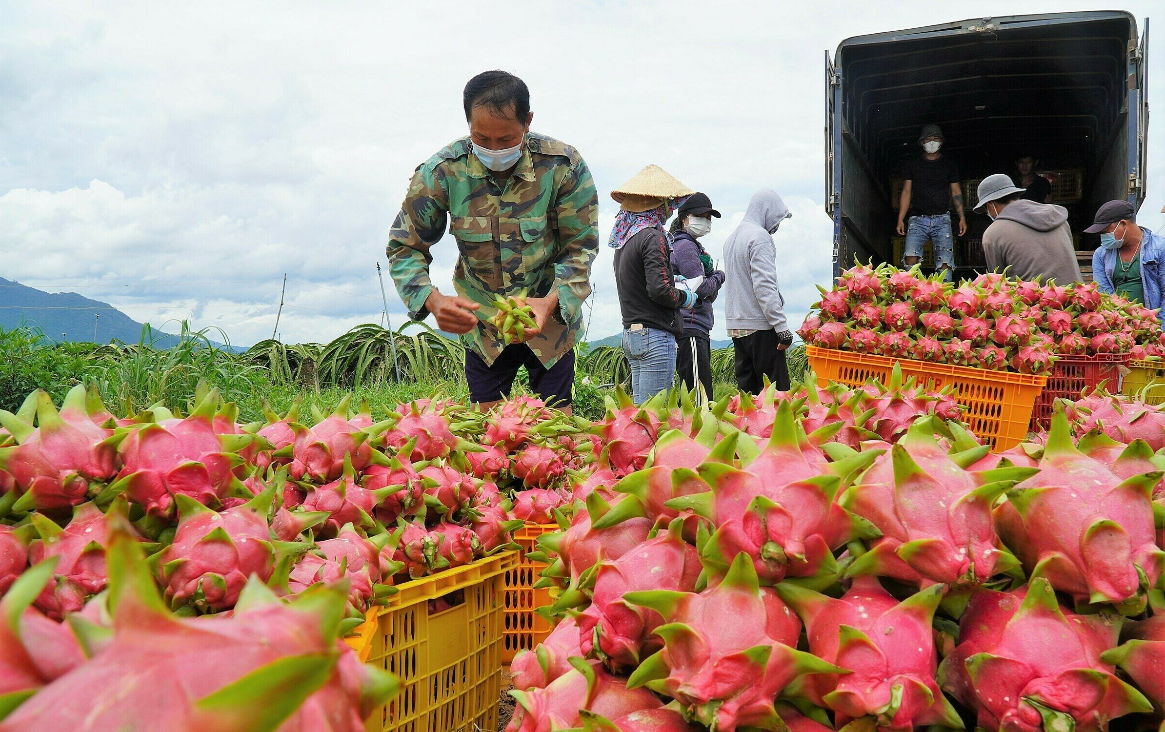 đặc sản mũi né