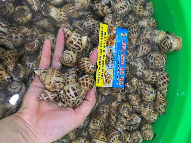 bà rô đà nẵng