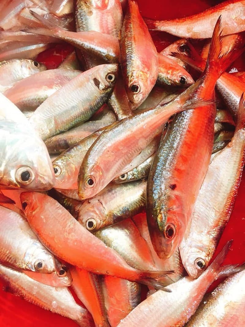Quán cá Nướng Cô Uyên Nha Trang