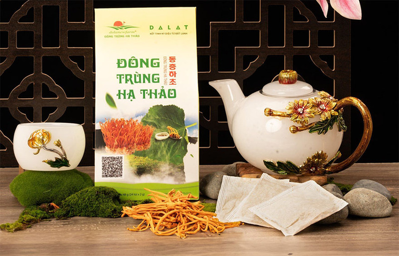 Set đông trùng hạ thảo