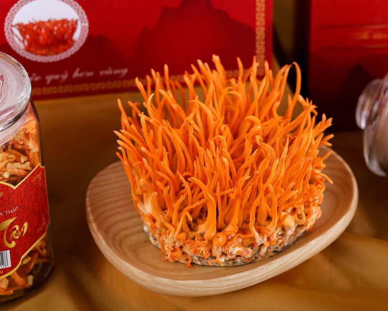 mua đông trùng hạ thảo
