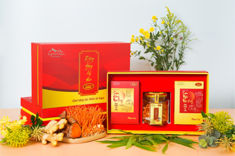 Set quà tặng đông trùng hạ thảo